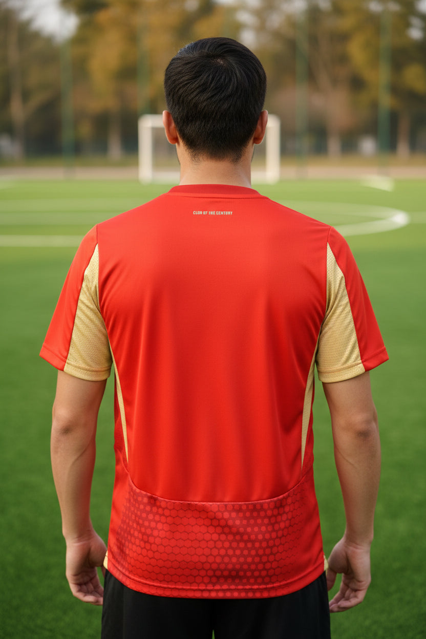 AL AHLY SC HOME 24/25 FAN VERSION