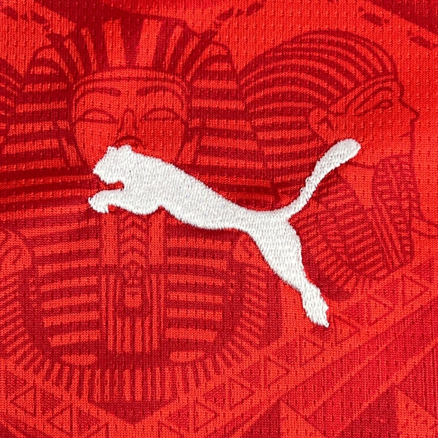 egypt home shirt